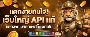 เว็บ สล็อตแตกดี